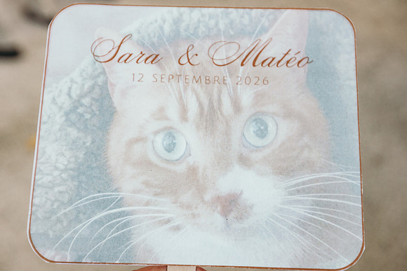 JOAO9743