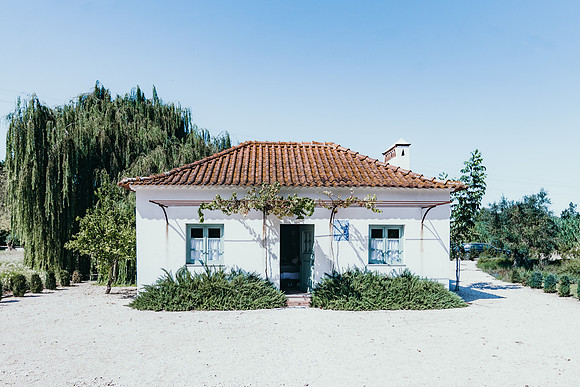 NUNO7484